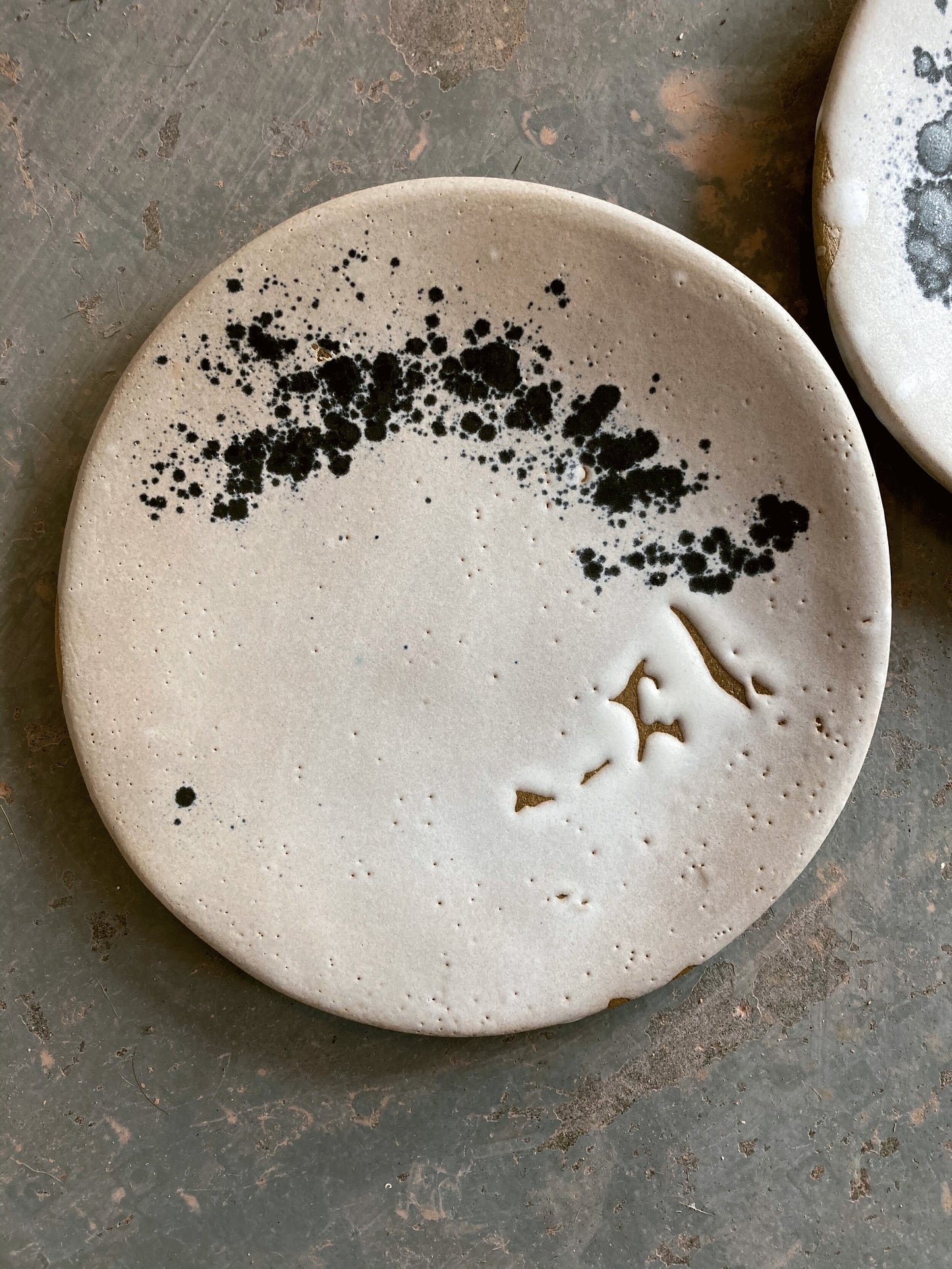 Storm Plate