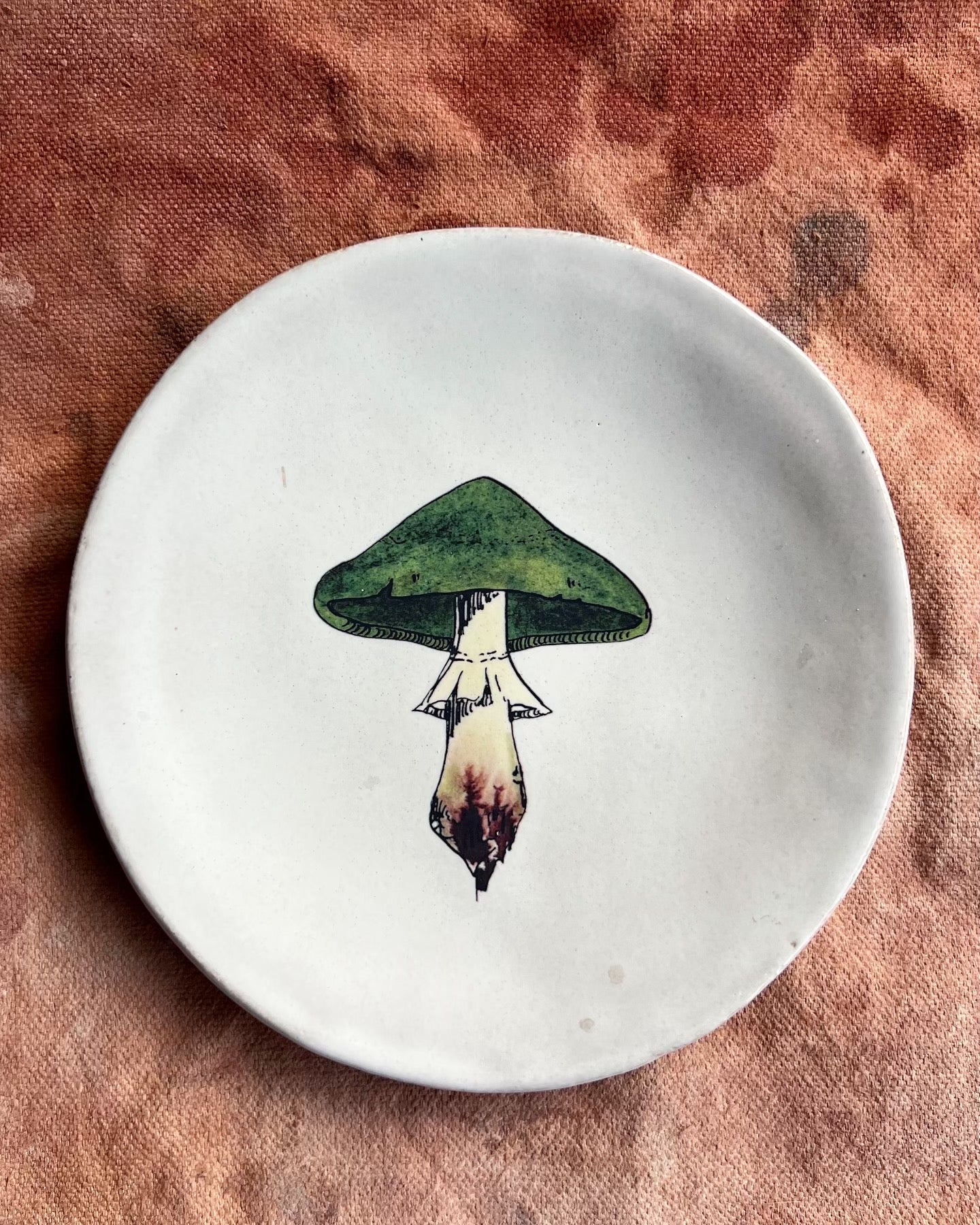 Mushroom Dish Collab with Lia Burke Libaire