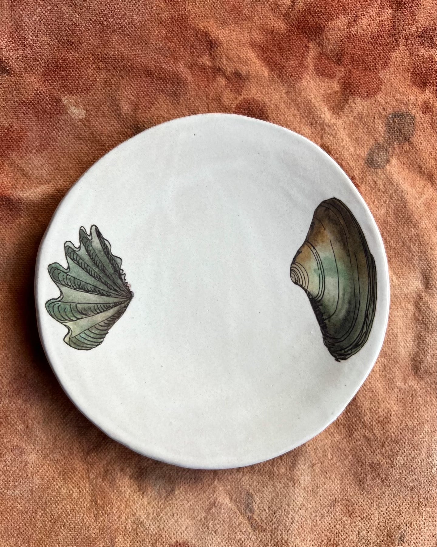 Set of Shell Plates Collab with Lia Burke Libaire