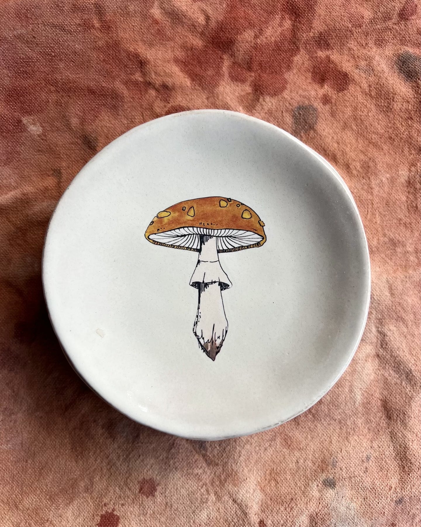 Mushroom Dish Collab with Lia Burke Libaire