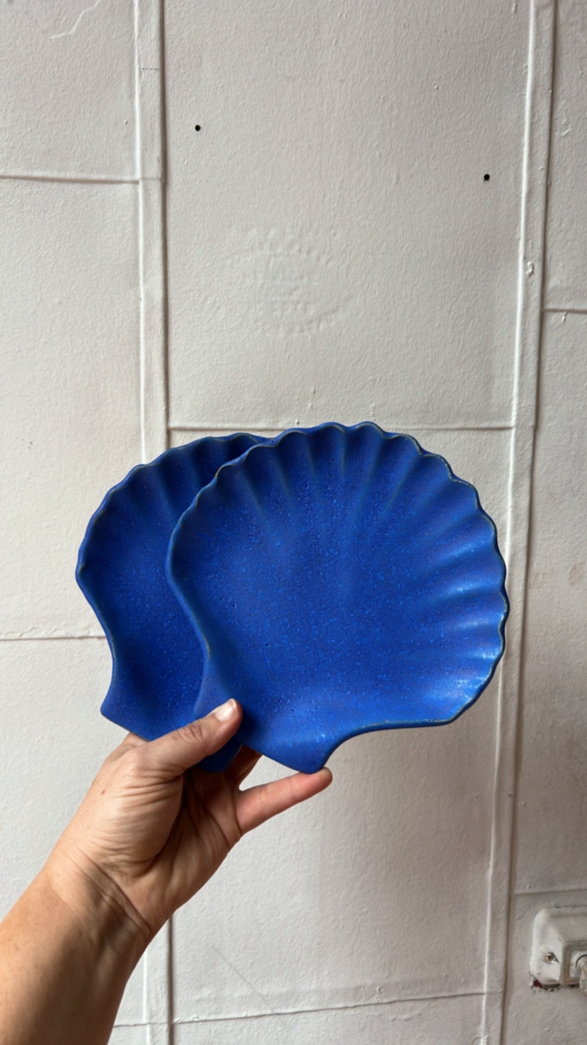 Yves Shell Plate