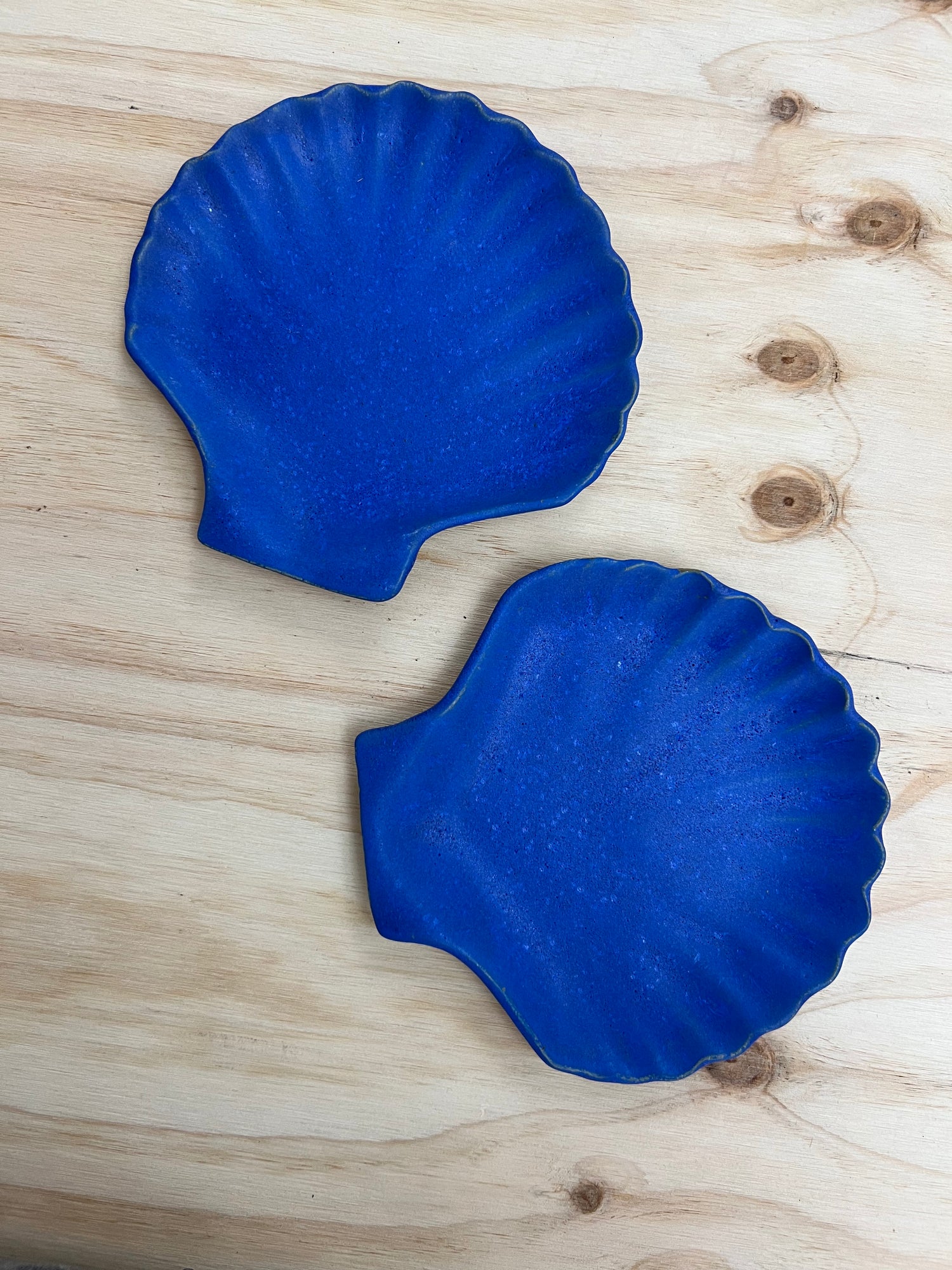 Blue Shell Plate Yves Shell Plate – Beau Rush Ceramics