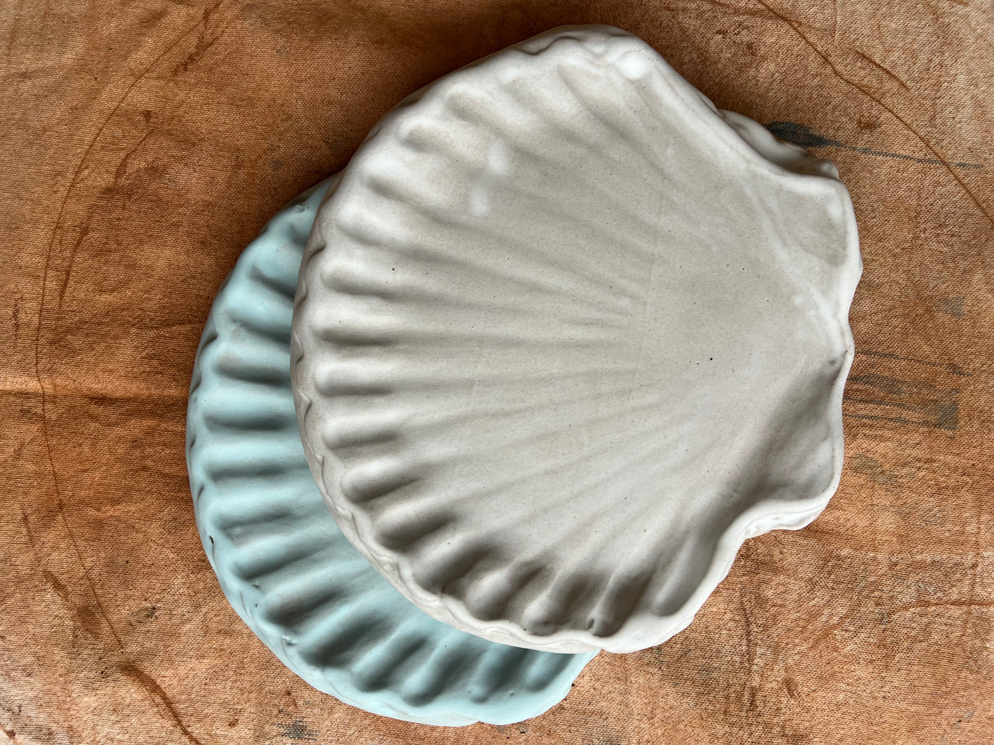 Modiom Shell Medium Shell Platter – Beau Rush Ceramics