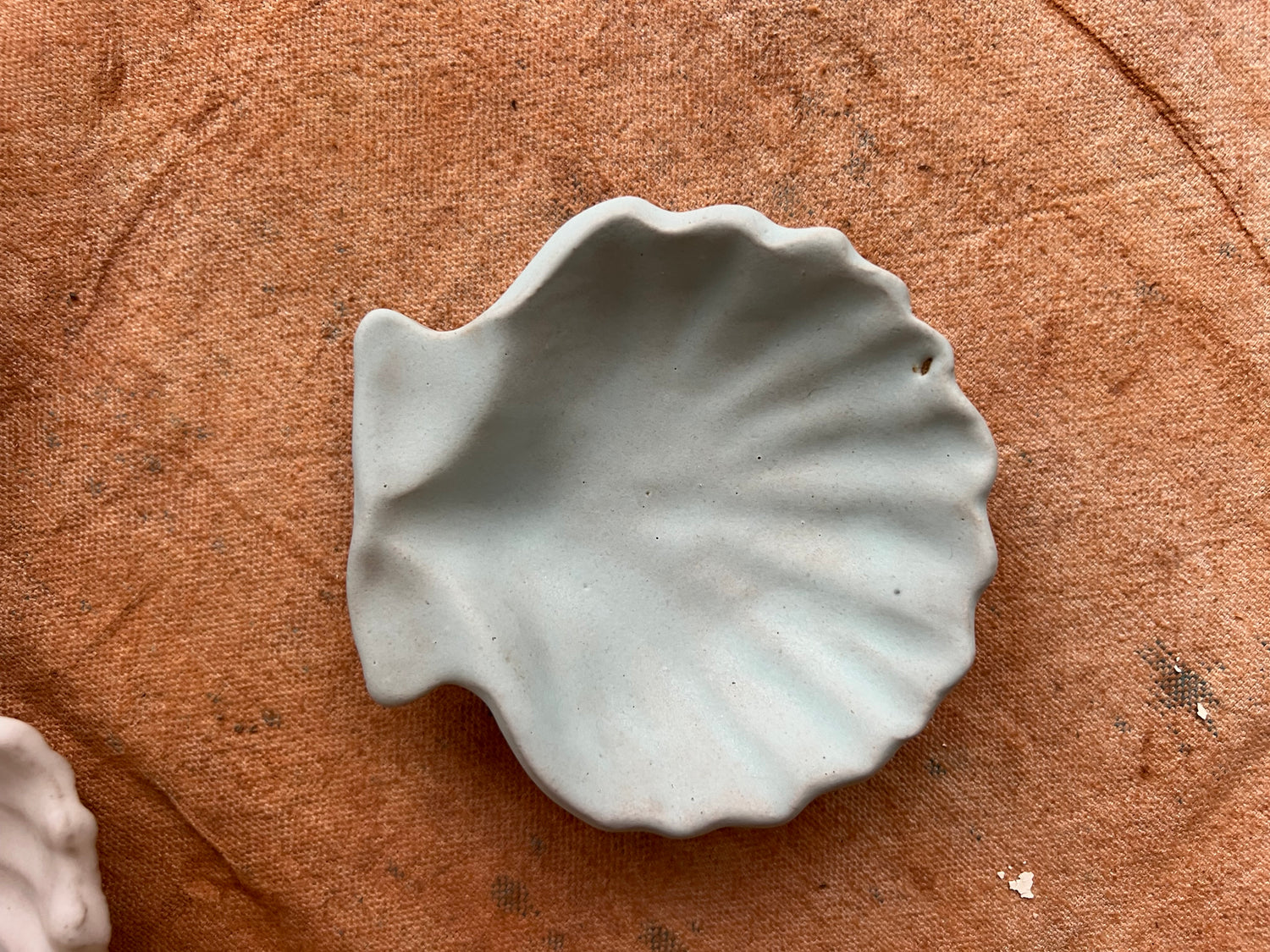 Ariel Shell – Beau Rush Ceramics